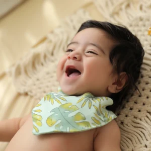 پیش بند طرح فارست