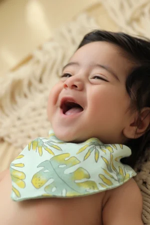 پیش بند طرح فارست